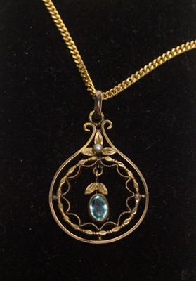 Lot 127 - An Edwardian pendant on gold chain.