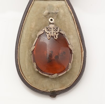 Lot 187 - An amber specimen pendant