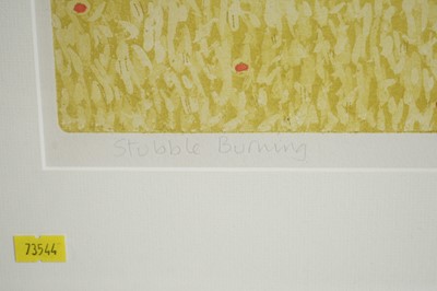 Lot 514 - John Brunsdon - Stubble Burning | etching with aquatint