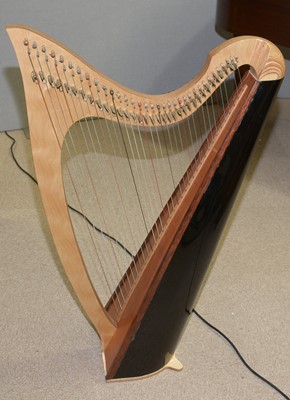 Lot 23 - A Celtic Harp and another