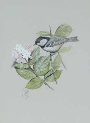 Lot 85 - Kenneth James Wood - Bird Studies; A Male Blackcap and a Coaltit | watercolour