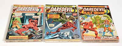 Lot 924 - Marvel Comics