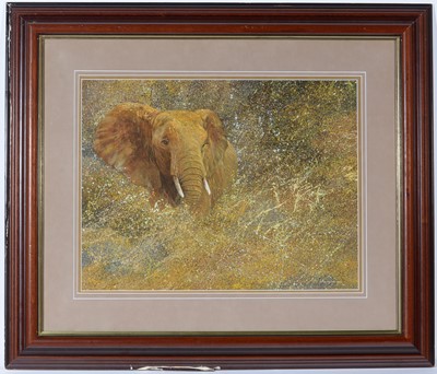 Lot 86 - Keith Proctor - Elephant Emerging | watercolour