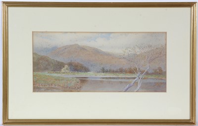 Lot 61 - Edward Arden - Lakeland View with Lone Tree | watercolour