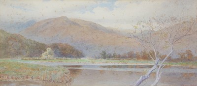 Lot 61 - Edward Arden - Lakeland View with Lone Tree | watercolour