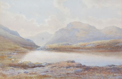 Lot 63 - Edward Arden - Peaceful Lakeland Prospect with Sheep Grazing | watercolour