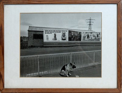 Lot 477 - 20th Century British - Dog's Life | photograph