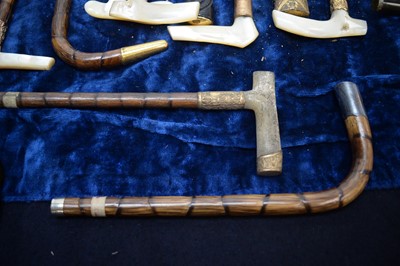 Lot 262 - A collection of cane or parasol handles.