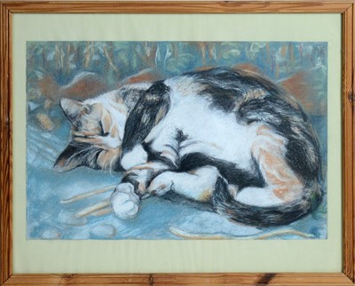 Lot 69 - In the manner of Elizabeth Blackadder - Slumbering Tabby Cat | pastel