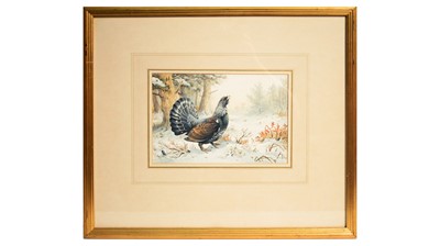 Lot 1077 - Carl Donner - Capercaillie Calling Out in a Winter Woodland | watercolor
