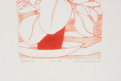 Lot 129 - John Brunsdon - Gloxinia, and Banana Plant | limited edition colour etchings with aquatint