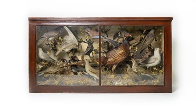 Lot 1224 - A Victorian cased menagerie of taxidermy British birds