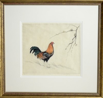 Lot 1 - George Vernon Stokes - A Majestic Cockerel | limited-edition etching