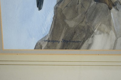 Lot 72 - Margery Stephenson - Peregrine Falcon | watercolour