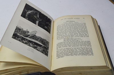 Lot 61 - North Eastern Natural History Books.