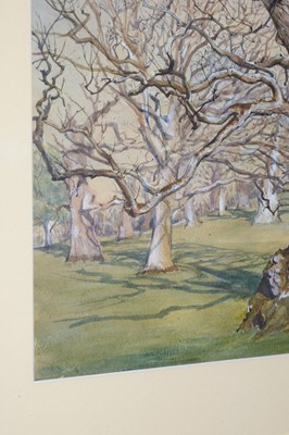 Lot 613 - George James Howard, 9th Earl of Carlisle - Oak Tree at Ampthill | watercolour and bodycolour