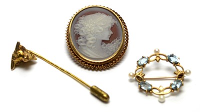 Lot 133 - Two brooches and a tie pin.