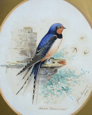 Lot 67 - John Duncan - Barn Swallow, and Gold-Crest | watercolour