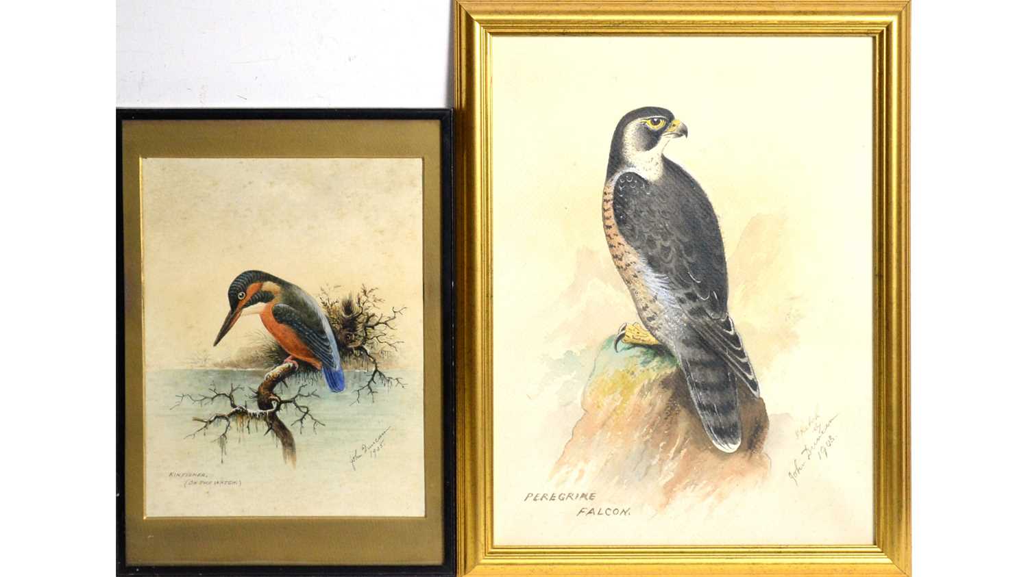 Lot 68 - John Duncan - Peregrine Falcon, and Kingfisher on the Watch | watercolour