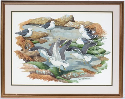 Lot 779 - David Binns - Seagulls at a Rock Pool | watercolour
