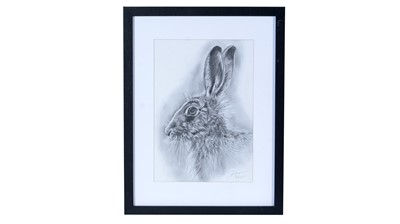 Lot 749 - Darcey Trace - Portrait of a Hare | pencil drawing