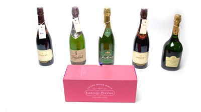 Lot 513 - A selection of bottles of sparkling wine