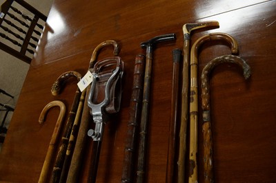 Lot 100 - A selection of vintage walking sticks and canes.