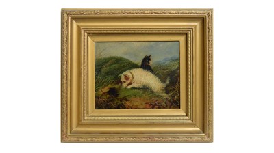 Lot 1134 - Follower of George Armfield - Two Terriers Ratting | oil