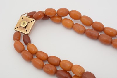 Lot 504 - A double row amber bead necklace