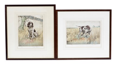 Lot 713 - Henry Wilkinson - Portraits of a liver and white Spaniel and an English Pointer | engravings