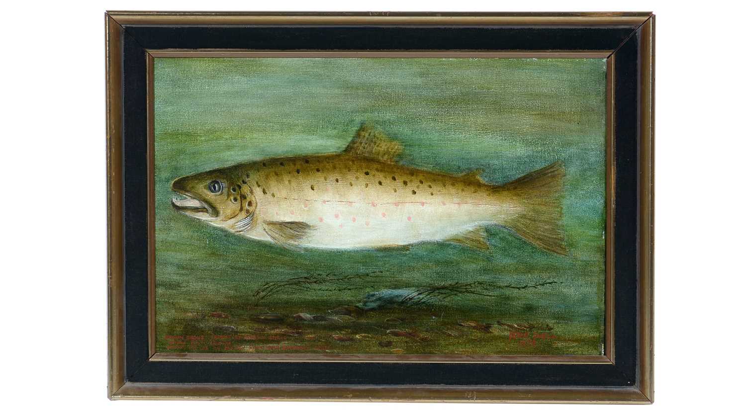 Lot 1107 - Peter Snell - Brown Trout Caught by Martin Snell, River Avon, 1974 | oil