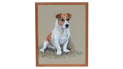 Lot 1079 - Mary Browning - Portrait of a Jack Russel Terrier | pastel