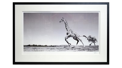 Lot 204 - Anup Shah - Dance (Deluxe) | photographic giclee print
