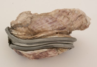 Lot 317 - A late 19th Century pewter-mounted oyster shell snuff box, and another.