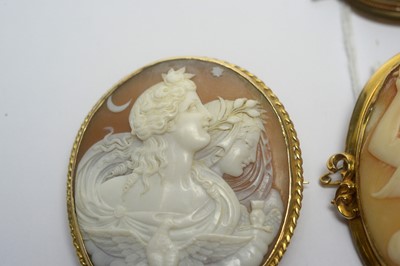 Lot 136 - A selection of carved shell cameo brooches