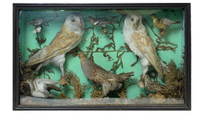 Lot 987 - An ornithological taxidermy diorama.