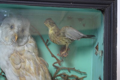 Lot 987 - An ornithological taxidermy diorama.