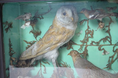 Lot 987 - An ornithological taxidermy diorama.
