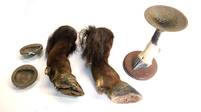 Lot 981 - Taxidermy: Cape Buffalo front legs; and another.