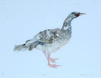 Lot 18 - Rosamund Jones RE - Goose | artist's proof etching