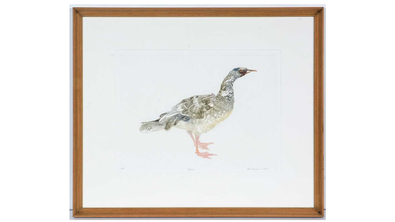 Lot 18 - Rosamund Jones RE - Goose | artist's proof etching