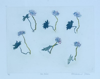 Lot 19 - Rosamund Jones RE - Sea Pinks; a pair of botanical studies | colour etchings