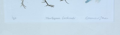 Lot 21 - Rosamund Jones RE - Harlequin Cockerels, and Flying Cock | limited edition colour etchings