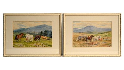 Lot 1016 - Dorothy Margaret and Elizabeth Mary Alderson - A pair of wild pony studies | watercolour