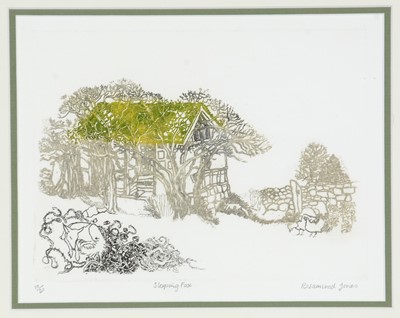 Lot 22 - Rosamund Jones RE - Sleeping Fox | limited edition etching