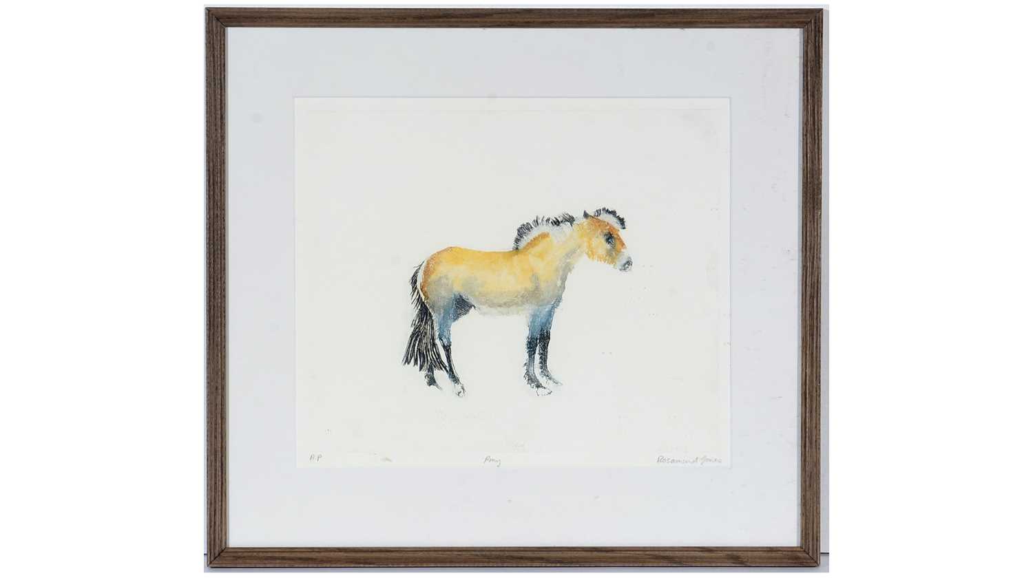 Lot 23 - Rosamund Jones RE - Pony | artist's proof colour etching