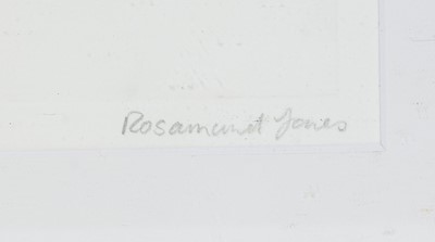 Lot 23 - Rosamund Jones RE - Pony | artist's proof colour etching