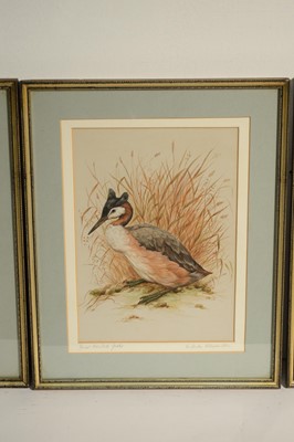 Lot 1075 - Andrew Alexander - Three bird studies | watercolour