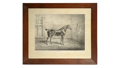 Lot 1025 - W. Cozens / "Holly-Hock" - Racehorses Mulberry and Hatter | lithographs