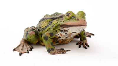 Lot 234 - Franz Bergman, Austria: a cold painted bronze frog
